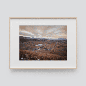 Larimer County — Matt Grandbois