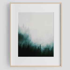 Shedding Light — Matt Grandbois