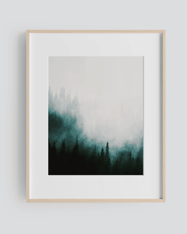 Shedding Light — Matt Grandbois